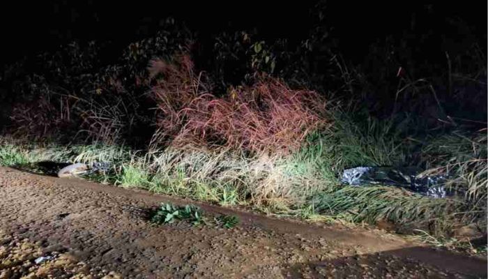 Foto - PMRV Guaraniaçu - Jovem morre em acidente na PR-471